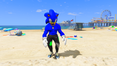 Gta 5 Mods SonicMan 1
